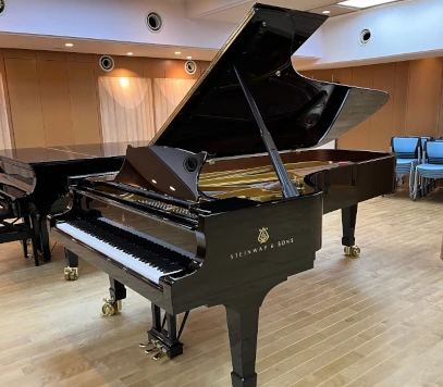 Steinway&Sons コンサートグランドD-274 ピアノの外観