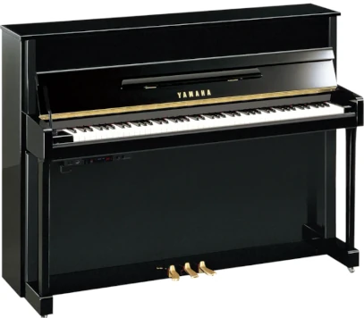 ヤマハb113TC3外観